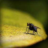 /album/jinetejusticiero/photolia-a07-jpg/